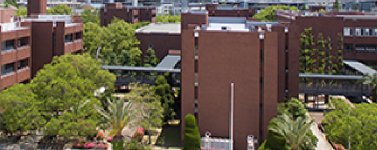 武庫川女子大学附属高等学校 電子辞書 辞典アプリ 事例 East Education