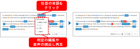 画面ショット：評価画面